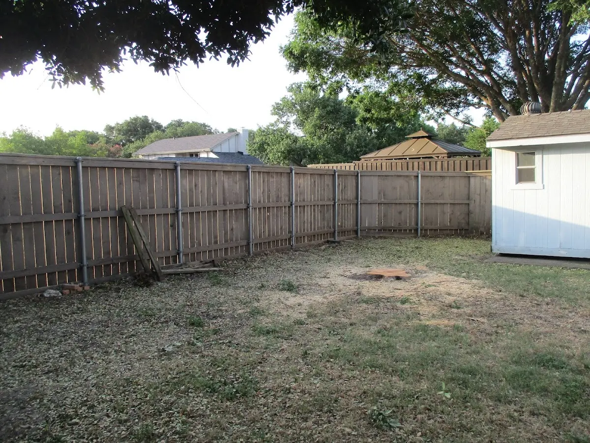 Cleared yard after professional tree removal in Frontenac